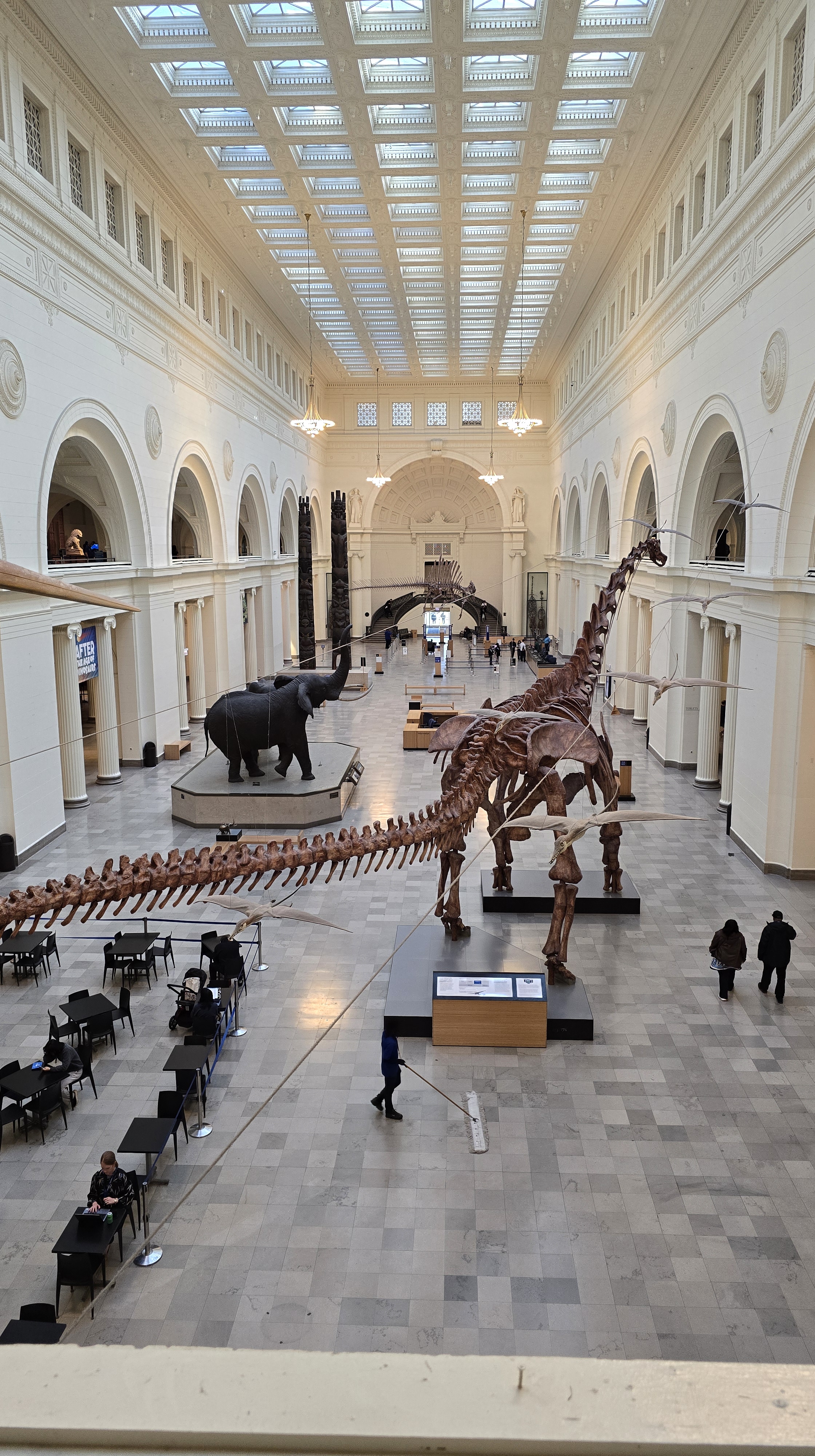 Field Museum, Chicago